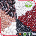 2016 Dried Kinds of Kidney Beans